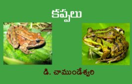 కప్పలు