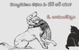 పర్యావరణం కథలు-2: వేర్ ఆర్ యు