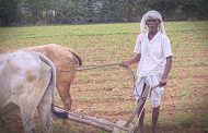 భూమి పుత్రుడు