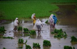 గాలి - వాన కావాలి