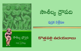 సౌశీల్య ద్రౌపది - ఒక దృష్టి కోణం