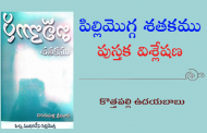 ఆలోచింపజేసే 'పిల్లిమొగ్గ శతకము'