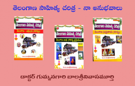 తెలంగాణ సాహిత్య చరిత్ర - నా అనుభవాలు