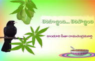 తెలిసొచ్చింది... తెలివొచ్చింది