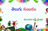 తెలుగు సంబరం