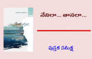 ఇలతో అల చేసిన సంభాషణ – మణిబాబు ‘నేనిలా… తానలా’ దీర్ఘకవిత