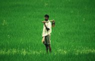 రైతు బతుకు సిత్రాలు