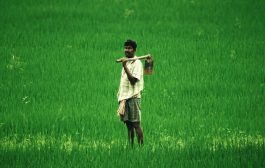 రైతు బతుకు సిత్రాలు