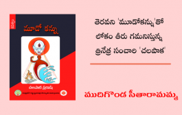 తెరవని 'మూడోకన్ను'తో లోకం తీరు గమనిస్తున్న త్రినేత్ర సంచారి 'చలపాక'