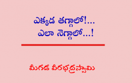 ఎక్కడ తగ్గాలో!... ఎలా నెగ్గాలో...!