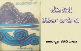 అంతర్వాహిని - పుస్తక విశ్లేషణ