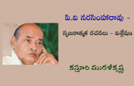 పి.వి నరసింహారావు - సృజనాత్మక రచనలు - విశ్లేషణ