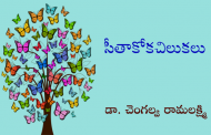 సీతాకోకచిలుకలు
