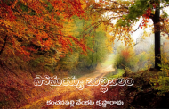 సోమయ్య బుద్ధిబలం