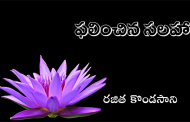 ఫలించిన సలహా