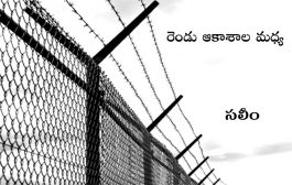 రెండు ఆకాశాల మధ్య-34