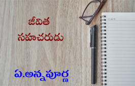 జీవిత సహచరుడు