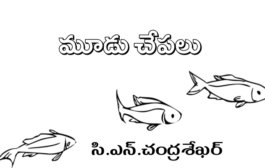 మూడు చేపలు