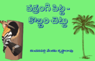 వడ్రంగి పిట్ట - కొబ్బరి చెట్టు