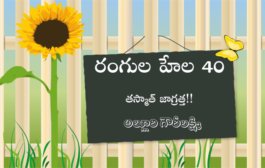 రంగుల హేల 40: తస్మాత్ జాగ్రత్త!!