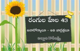 రంగుల హేల 43: అనారోగ్యాలూ - అతి జాగ్రత్తలూ