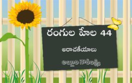 రంగుల హేల 44: అరాచకీయాలు