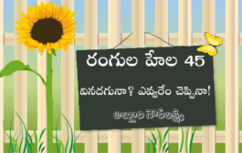 రంగుల హేల 45: వినదగునా? ఎవ్వరేం చెప్పినా!