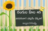 రంగుల హేల 45: వినదగునా? ఎవ్వరేం చెప్పినా!