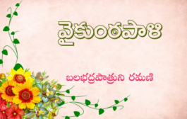 ‘వైకుంఠపాళి’ - కొత్త ధారావాహిక – ప్రకటన1