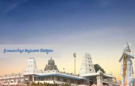 యాత్రా దీపిక కృష్ణా జిల్లా - 17. యనమలకుదురు