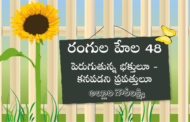 రంగుల హేల 48: పెరుగుతున్న భక్తులూ - కనపడని ప్రపత్తులూ