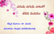 ఎగుడు దిగుడు బాటలో జీవన పయనం