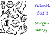 కనిపించుట లేదు!!!!