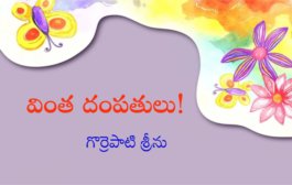 వింత దంపతులు!