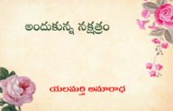 అందుకున్న నక్షత్రం