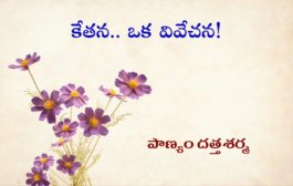 కేతన.. ఒక వివేచన!