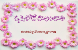 కృషితోనే సాధించాలి