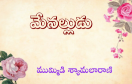 మేనల్లుడు-3