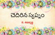చెదిరిన స్వప్నం