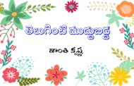 తెలుగింటి ముద్దుబిడ్డ