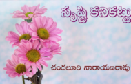 సృష్టి కనికట్టు