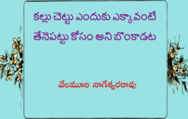 కల్లు చెట్టు ఎందుకు ఎక్కావంటే తేనెపట్టు కోసం అని బొంకాడట