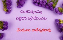 చింతపిక్కలమ్మి చిట్టిదొర పెళ్లి చేసిందట