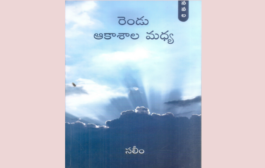 సరిహద్దు రాజకీయాలపై తెలుగులో వచ్చిన సమగ్ర నవల – ‘రెండు ఆకాశాల మధ్య’