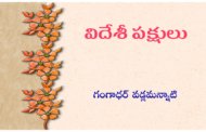 విదేశీ పక్షులు