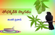 శోభకృత్‌కి స్వాగతం