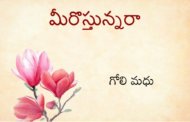 మీరొస్తున్నరా