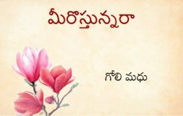 మీరొస్తున్నరా