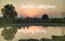 పల్లెకు పోదాం