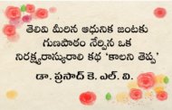 తెలివి మీరిన ఆధునిక జంటకు గుణపాఠం నేర్పిన ఒక నిరక్ష్యరాస్యురాలి కథ ‘కాలని తెప్ప’